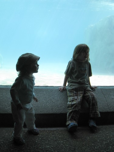 At the Lincoln Park Zoo.